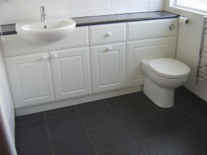 New sink and WC (Toilet) area