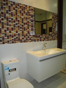 Mosaic Tile used as a wall feature