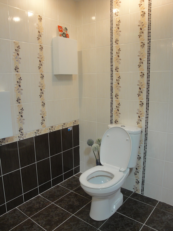 Using a Mosaic tile as a vertical border around a toilet