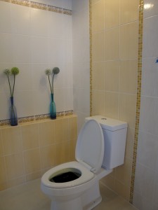 Mosiac Tiles used as a border around a toilet