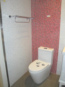 Mosaic Tiles as complete wall tiles