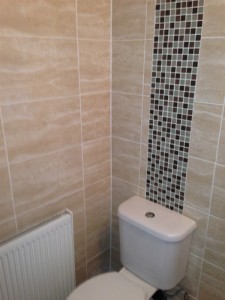 Toilet with Mosaic tiled wall