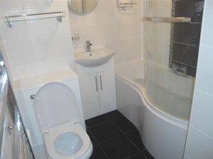 Vanity Sink and Vanity Toilet
