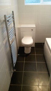 Vanity Toilet Sink and Towel Warmer