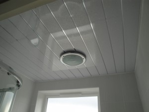 White Galaxy Bathroom Ceiling