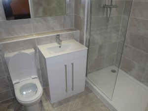 Walk In Shower, Vanity Basin and Toilet