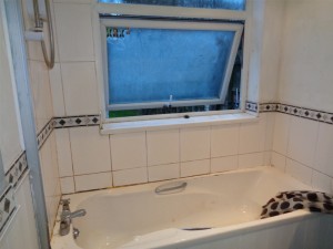 The old bathroom with tiles, painted wall and wood panels