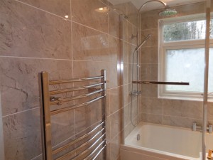 Towel warmer and shower