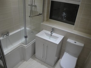 Shower Bath Vanity Sink and WC