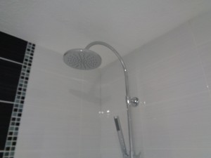Shower Head fixed above bath