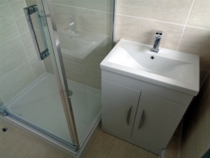 Vanity Basin and Shower