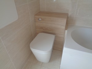 Light Oak Vanity Toilet WC
