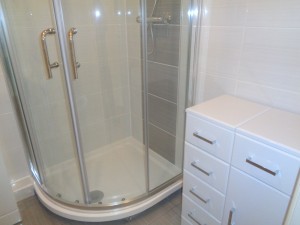 Shower with Bathroom Vanity Storage