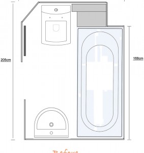 Shower Conversion Design