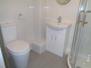 Shower Conversion WC and Vanity Basin