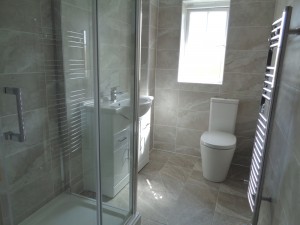 Shower Room Conversion