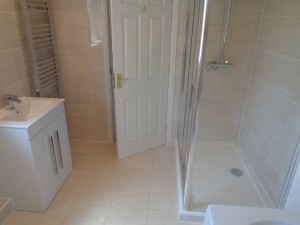 Vanity Basin and Shower