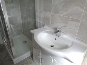 Vanity Basin Shower Room