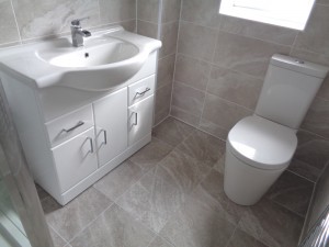 Vanity Basin WC