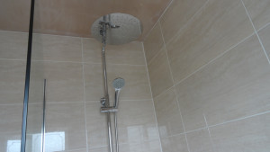 Thermostatic fixed head rain shower with hand held shower remote.