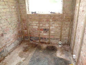 Bathroom walls back to brick