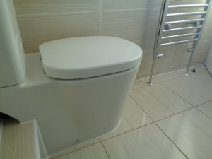 Modern Toilet WC with Soft Close Toilet