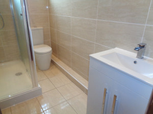 Vanity Basin in Shower Room