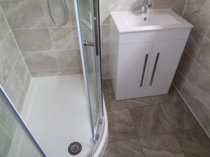 Vanity Basin Fitted next to a Quadrant Shower