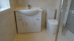 Walk In Shower with large vanity basin sink