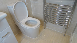 Modern WC Toilet and Large Towel Warmer Radiator