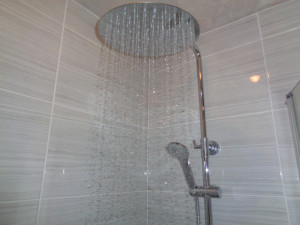 Large Chrome Shower Head