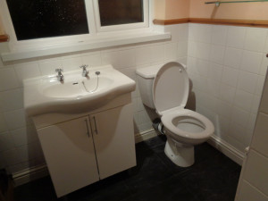 Storage Basin and Toilet in Coventry Home