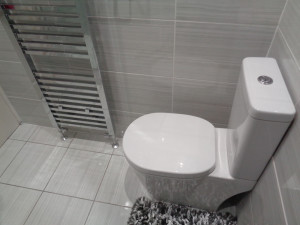 Modern Easy clean toilet with soft close toilet lid Coventry