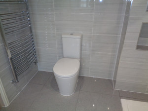 Modern Toilet with Chrome Towel Warmer