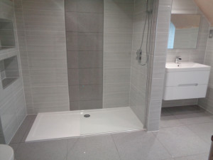 Walk-in Shower with Vanity Basin