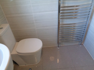 Basin Toilet and Towel Warmer