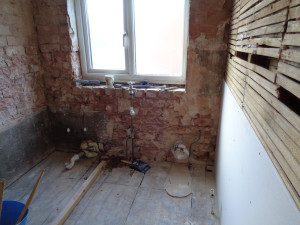 Bathroom walls brick and lath