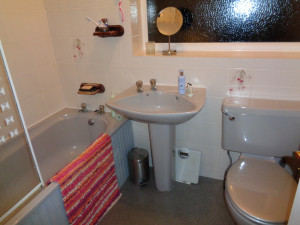 Bath with pedestal basin and toilet
