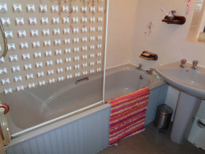 Bath with Glass shower screen