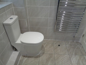 Easy Clean Modern Toilet with Soft Close Seat