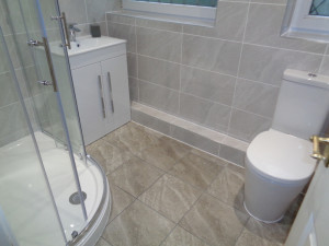 Curved Shower with Vanity Storage Basin and Modern Toilet.