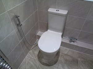 Toilet with Shataff Bidet Douche Shower Toilet Spray