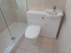 Walk-In Shower with Vanity Basin and Sink