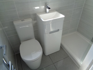 Bathroom Toilet and Vanity Basin