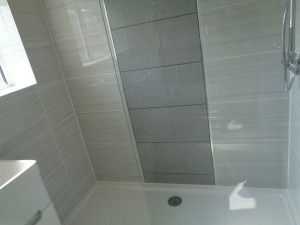 Wall to Wall Walk In Shower with Grey Feature Wall
