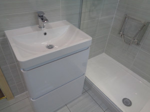 Vanity Basin and Shower with Fitted Shower Seat