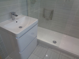 Vanity Basin and Walk in Shower 