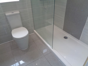 Walk In Shower with Glitter grey feature panel wall