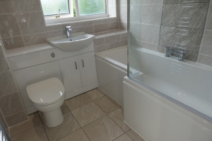 Combination Vanity Basin and Toilet Fitted  