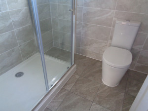 Large Shower tray and screen and modern toilet